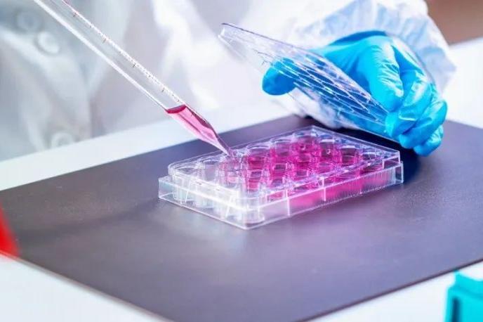 助力科学研究——生物实验室一次性耗材整装上线