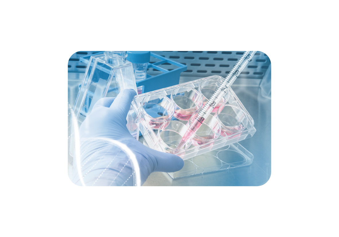 Disposable Lab Consumables